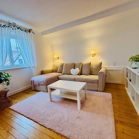 Villa Camelias, Appartements De Charme Mittelwihr Buitenkant foto